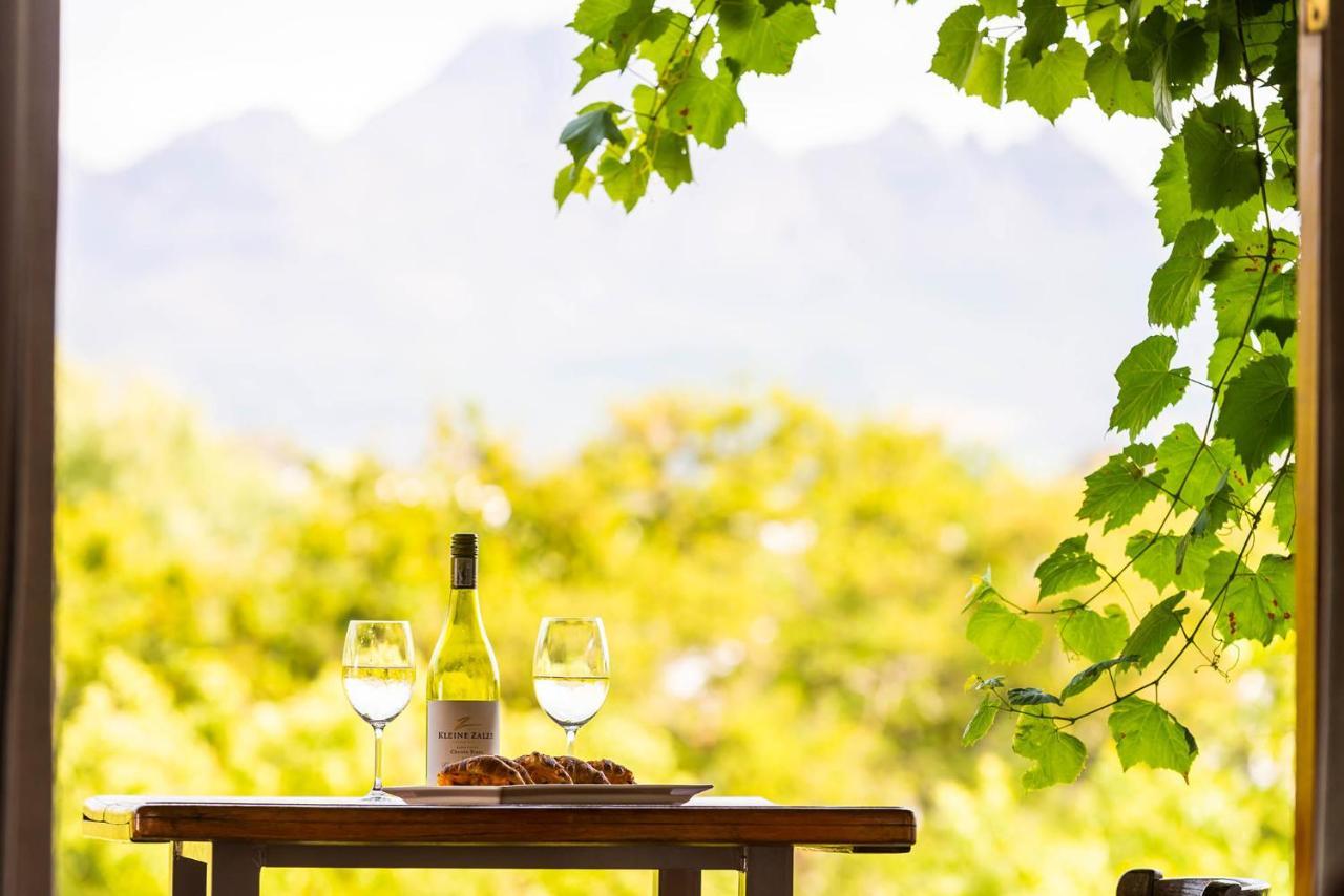 De Zalze Lodge Стелленбос Экстерьер фото